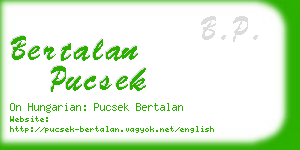 bertalan pucsek business card